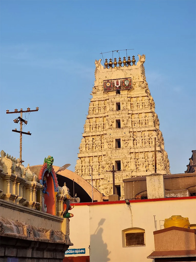 Sri Ranganthaswami Temple in Nellore, Andhra Pradesh8