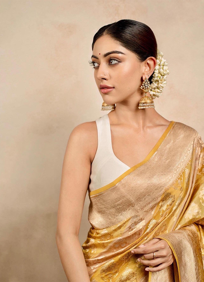 Telugu Actress Anu Emmanuel HD Photos13