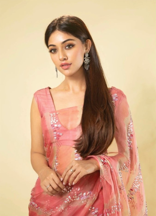 Telugu Actress Anu Emmanuel HD Photos18