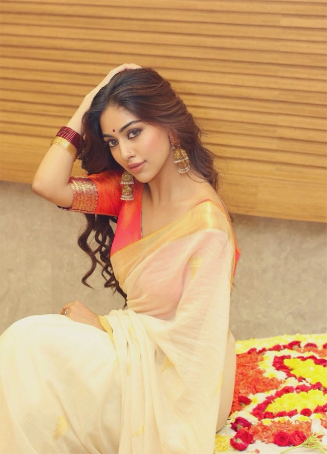 Telugu Actress Anu Emmanuel HD Photos19