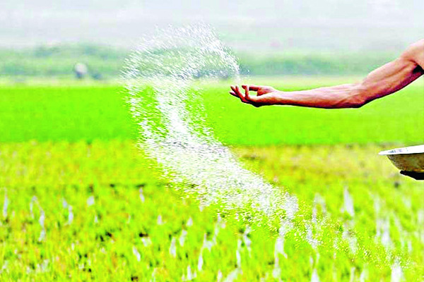 యూరియా వాడకం డబుల్‌ 1