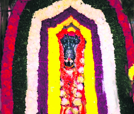 వేంకట రమణుల రథోత్సవం2