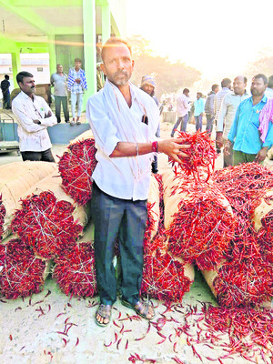 మిర్చి రైతు ధరహాసం..1