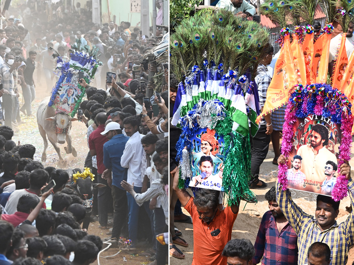 Rangampeta Jallikattu 2026 Photos1