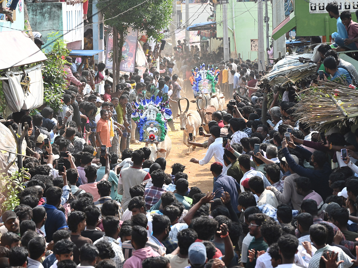Rangampeta Jallikattu 2026 Photos3