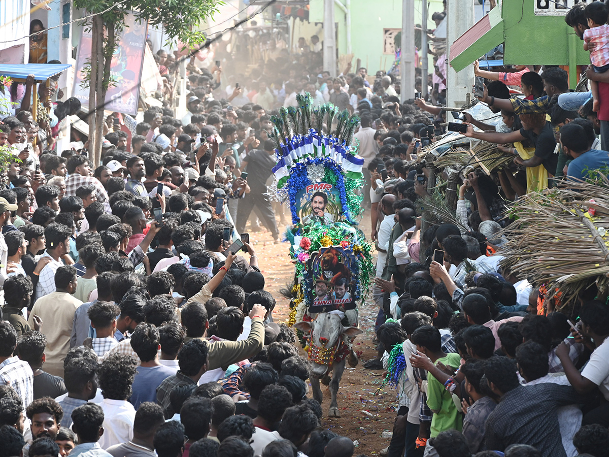 Rangampeta Jallikattu 2026 Photos4