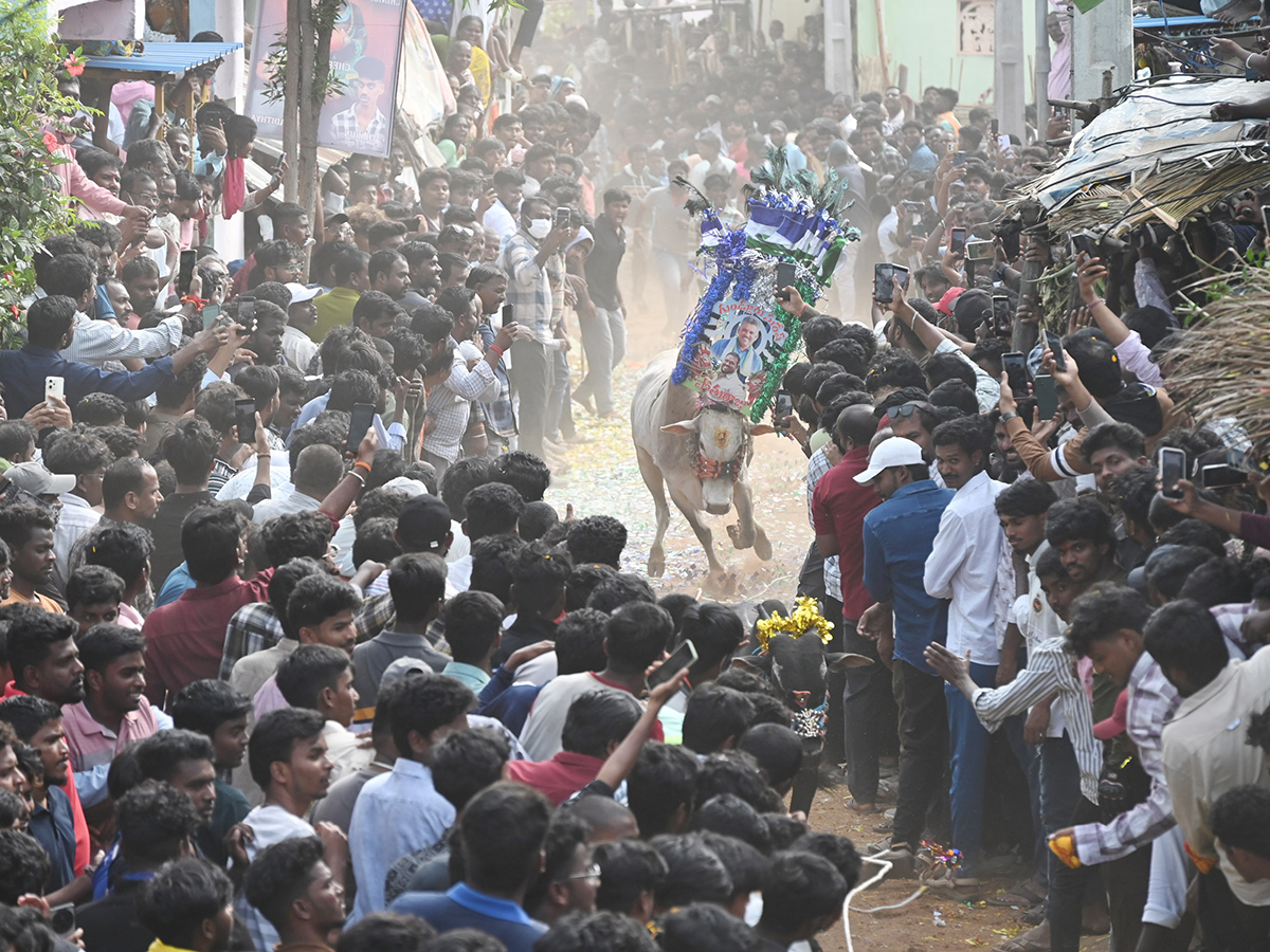 Rangampeta Jallikattu 2026 Photos5