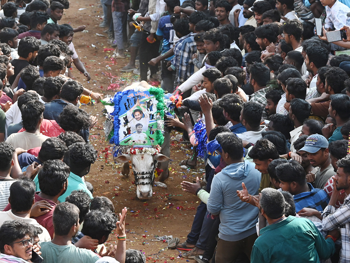 Rangampeta Jallikattu 2026 Photos6