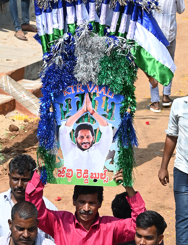 Rangampeta Jallikattu 2026 Photos8