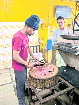 కొండెక్కిన కోడి!1