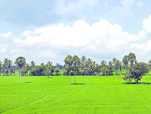 విఘ్నేశ్వరునికి సప్త నదీ జలాభిషేకం3