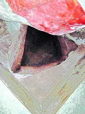 మహాసేనాయ ధీమహి.. 1