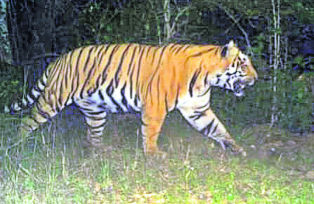 అంతా ఇష్టారాజ్యం 1