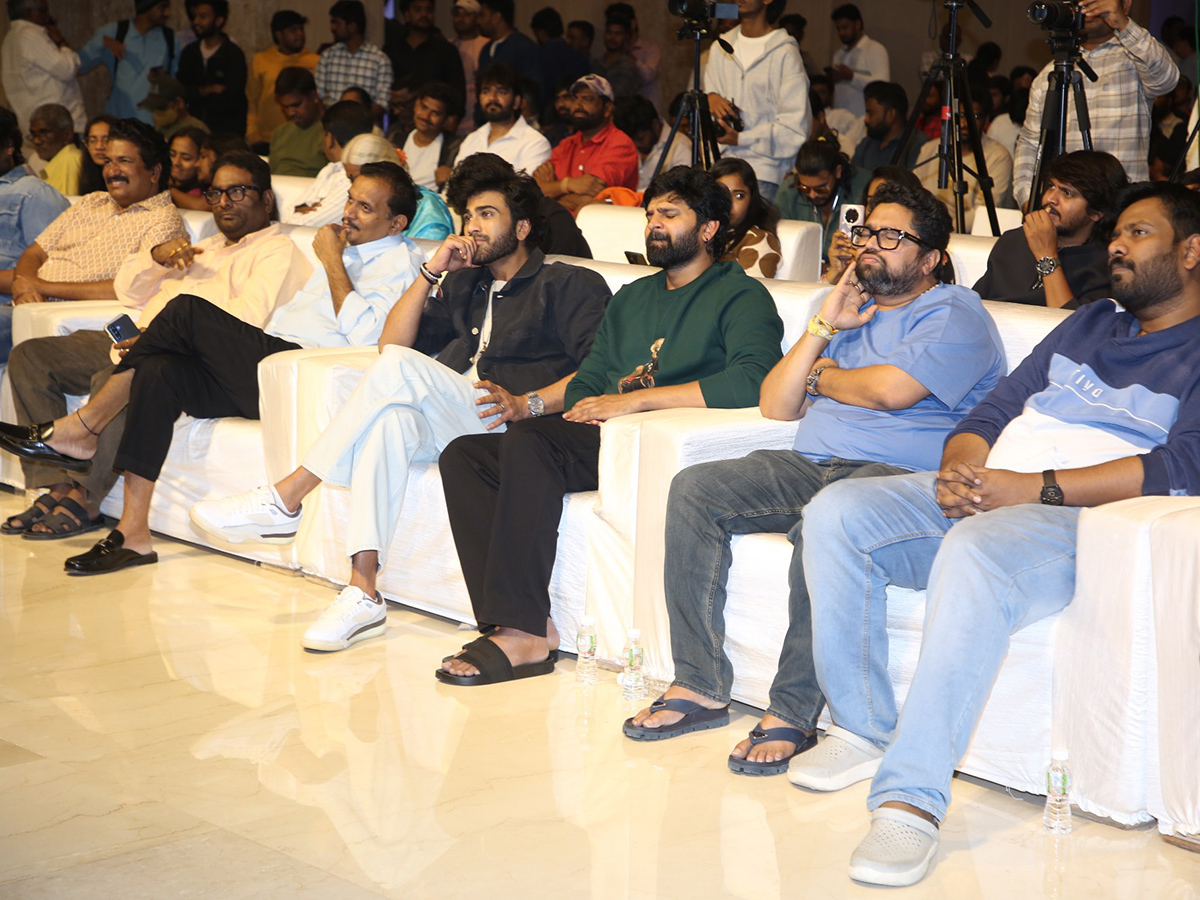 Nari Nari Naduma Murari Movie Grand Success Meet Pics19