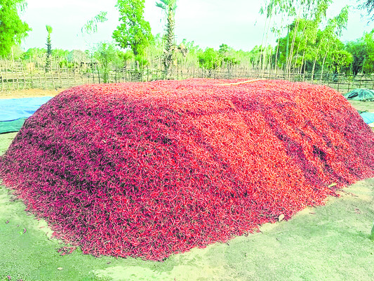 దిగుబడిన కష్టాలు1