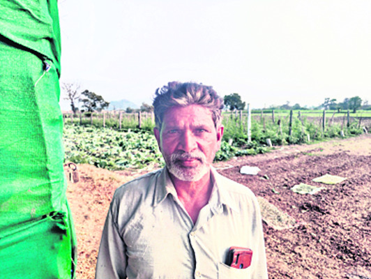 కూరగాయలు.. గ్యారంటీ లాభాలు3