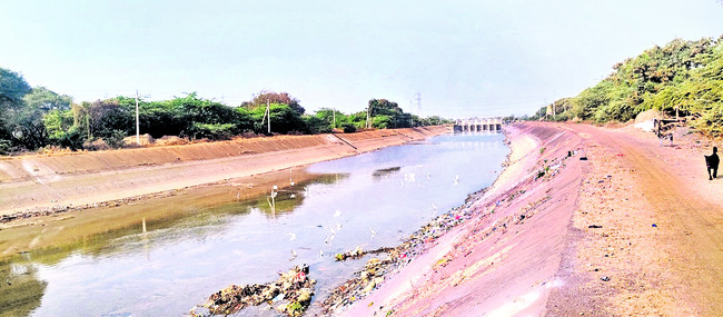 కేసీ ఆయకట్టు.. కన్నీటి తడులు!1