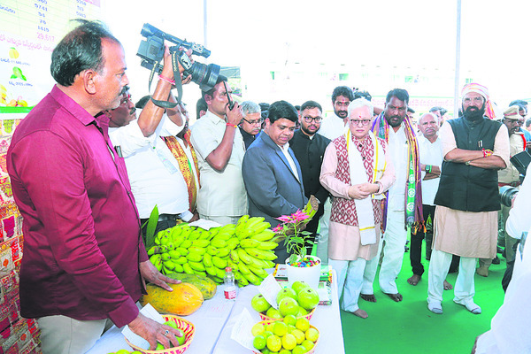 మట్టపల్లి క్షేత్రం అద్భుతం2