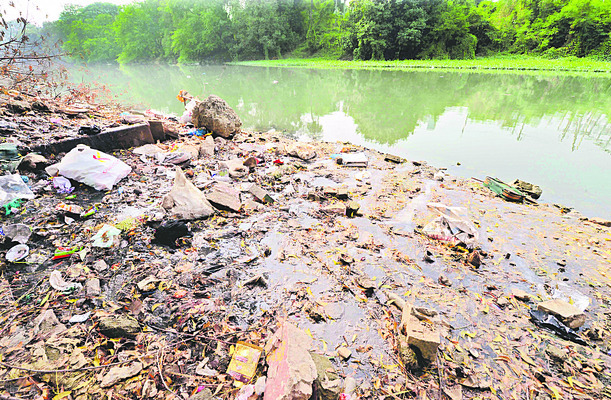 బెజవాడకు దోమకాటు1