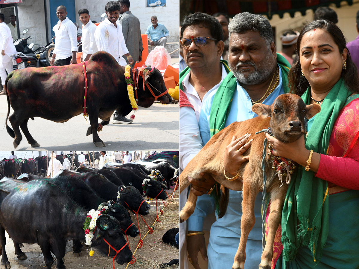 Animal Fest (Pashu Sankranthi) in Narsingi at Hyderabad1