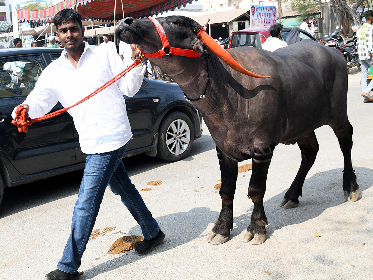 Animal Fest (Pashu Sankranthi) in Narsingi at Hyderabad12