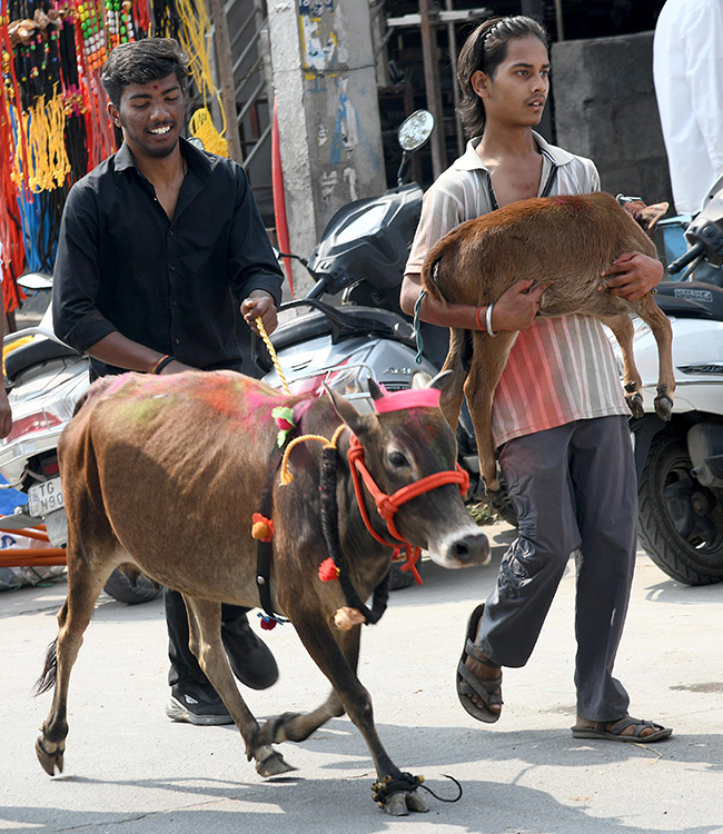 Animal Fest (Pashu Sankranthi) in Narsingi at Hyderabad13