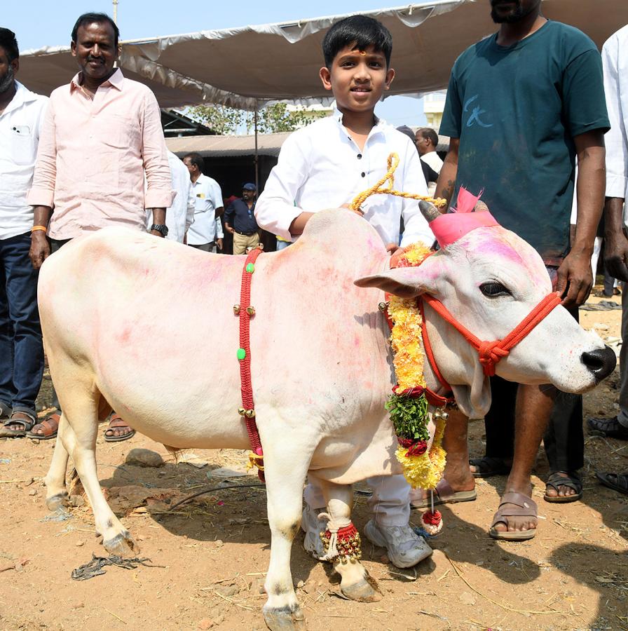Animal Fest (Pashu Sankranthi) in Narsingi at Hyderabad15