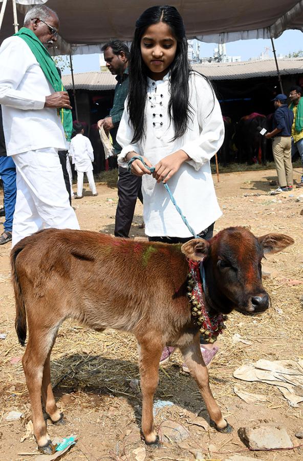Animal Fest (Pashu Sankranthi) in Narsingi at Hyderabad16