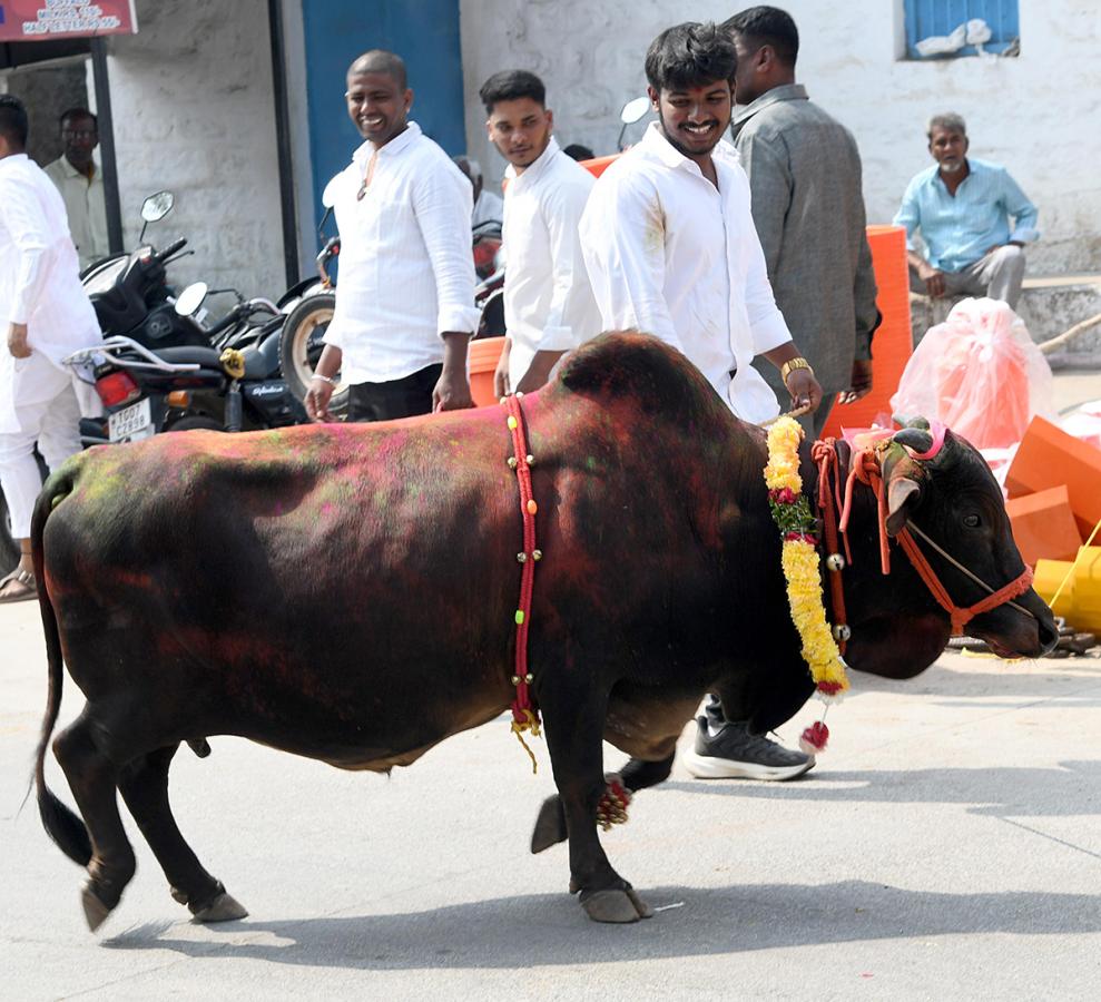 Animal Fest (Pashu Sankranthi) in Narsingi at Hyderabad23