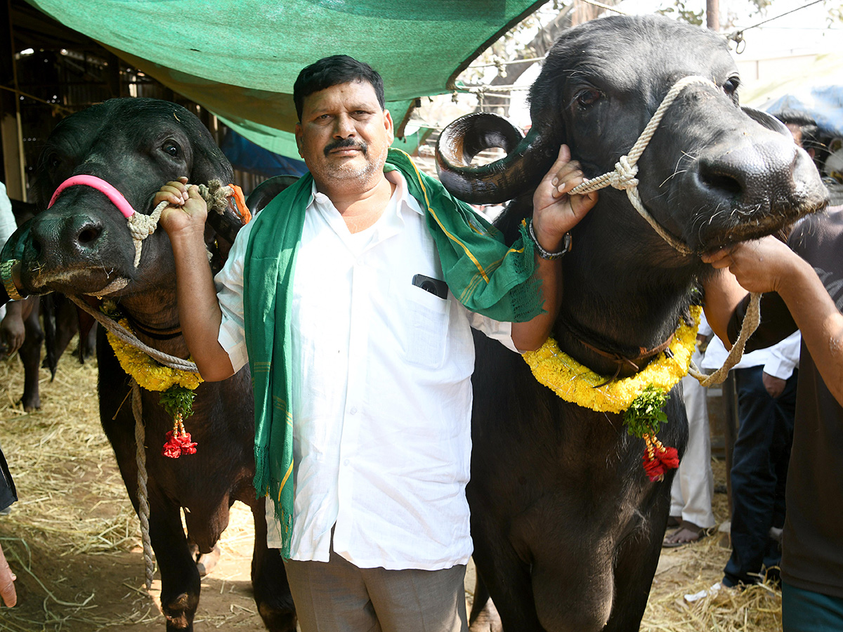 Animal Fest (Pashu Sankranthi) in Narsingi at Hyderabad3