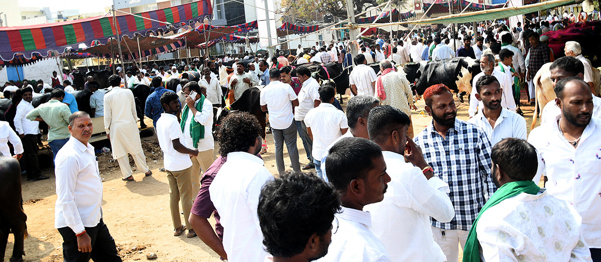 Animal Fest (Pashu Sankranthi) in Narsingi at Hyderabad6
