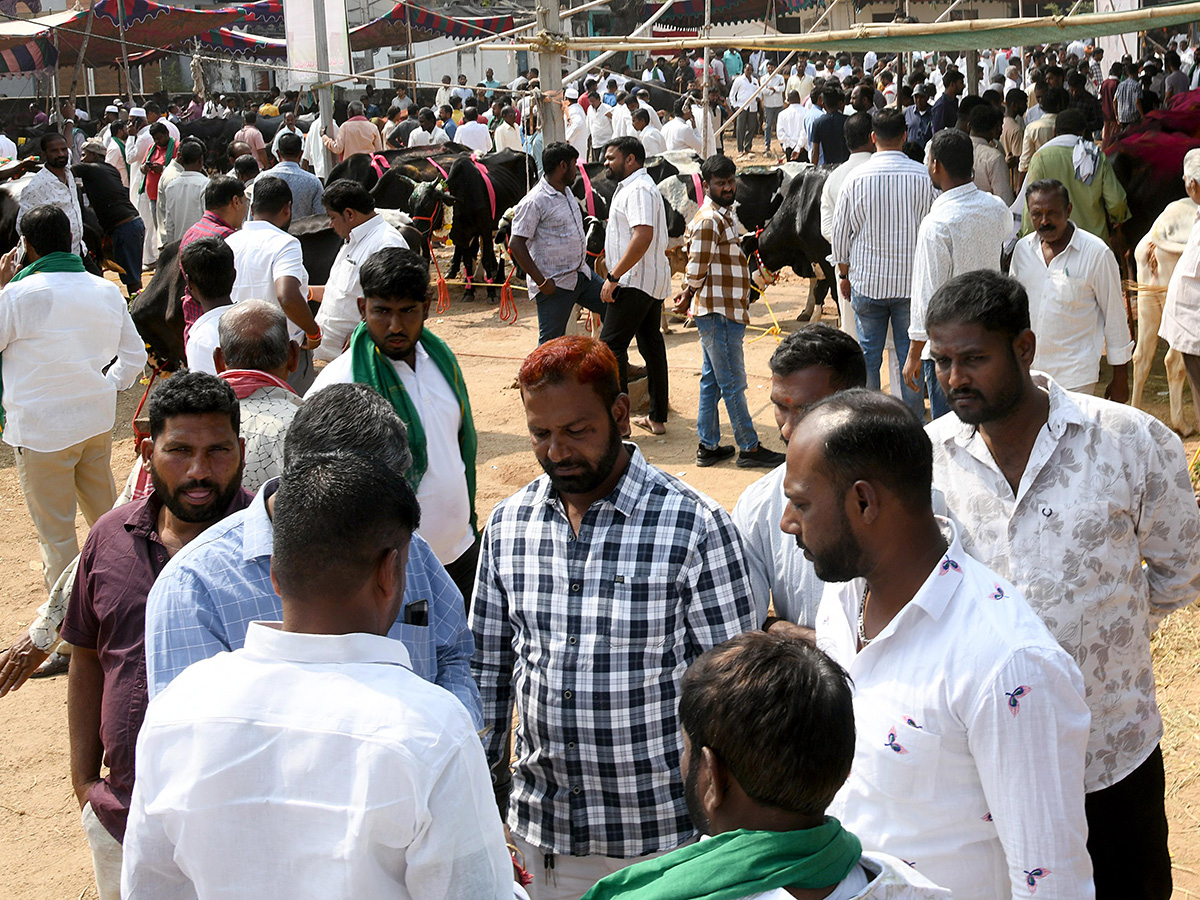 Animal Fest (Pashu Sankranthi) in Narsingi at Hyderabad7