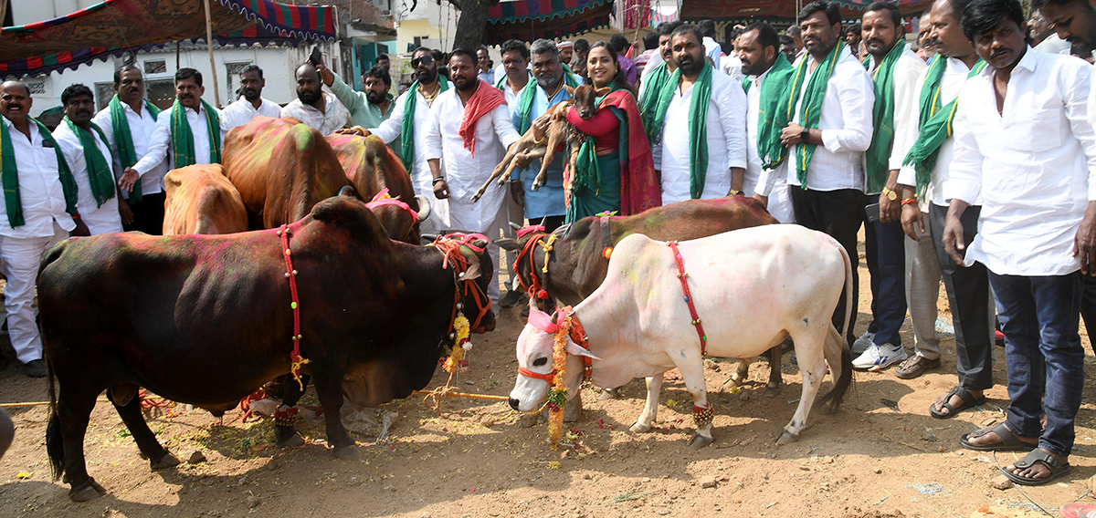 Animal Fest (Pashu Sankranthi) in Narsingi at Hyderabad8