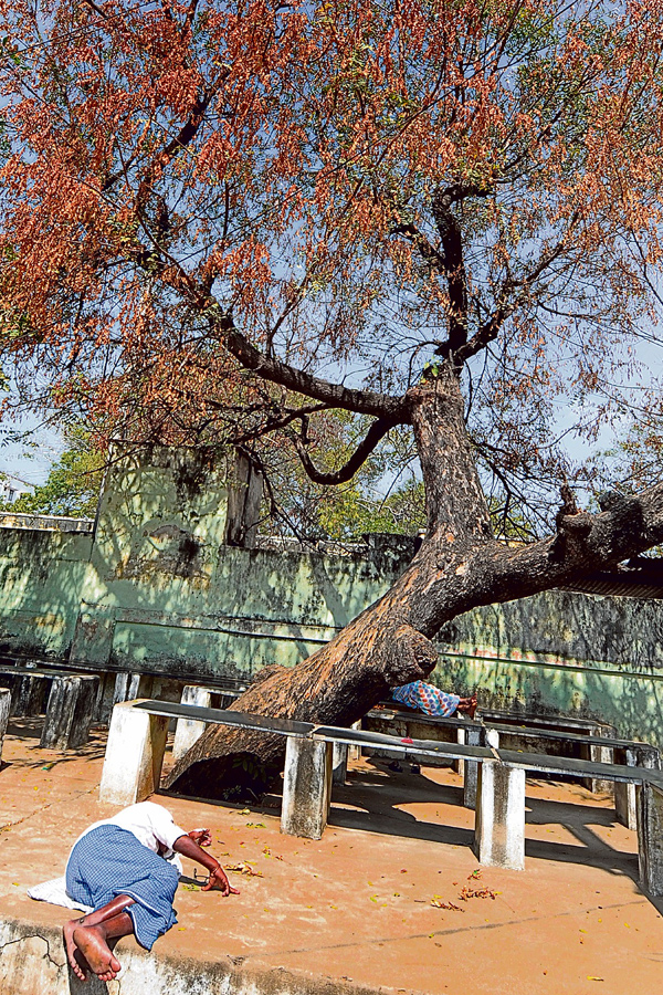 Hardships of patient assistants... Hospitalization Photos9