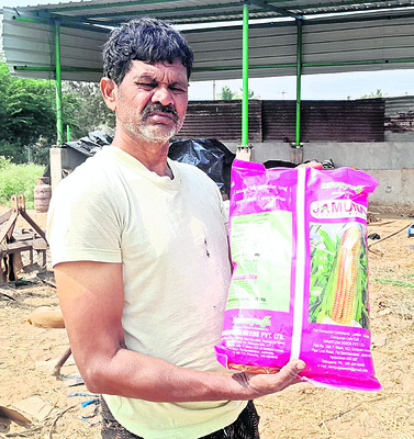 నకిలీ విత్తనాలతో నష్టాలు   
1