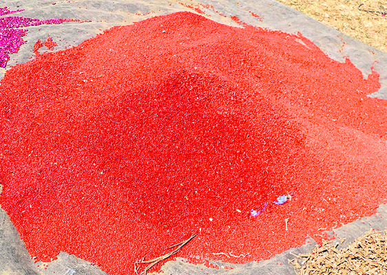 మాయాజాలం1