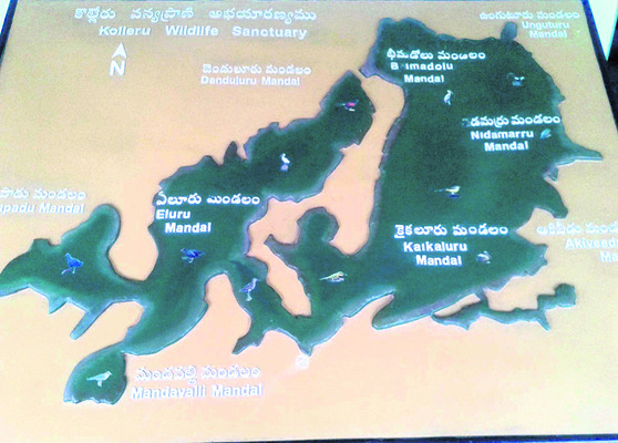 కొల్లేరులో జనాగ్రహం 2