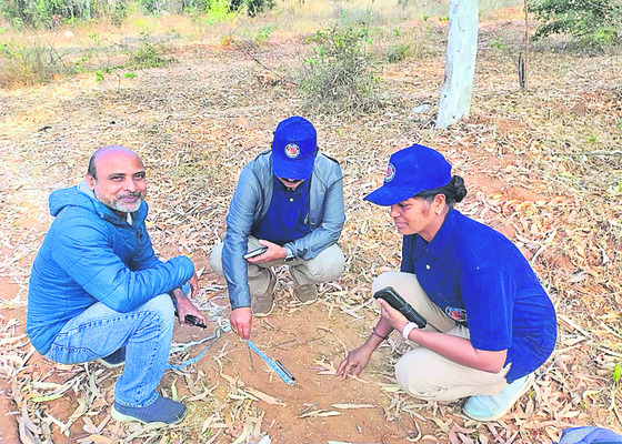 జంతు గణన వేగవంతం
2
