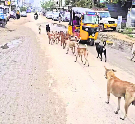 ఉరి వేసుకుని యువకుడు ఆత్మహత్య 1