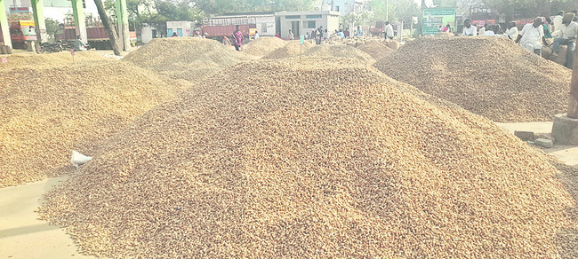 కొత్త సంఘాలు ఏర్పాటు చేయాలి 
1