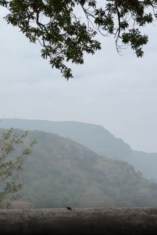 Actress Tejaswi Madivada latest Beautiful Photos12