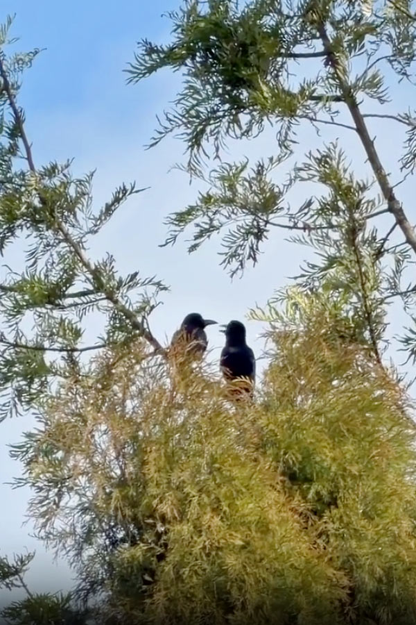 Actress Tejaswi Madivada latest Beautiful Photos3