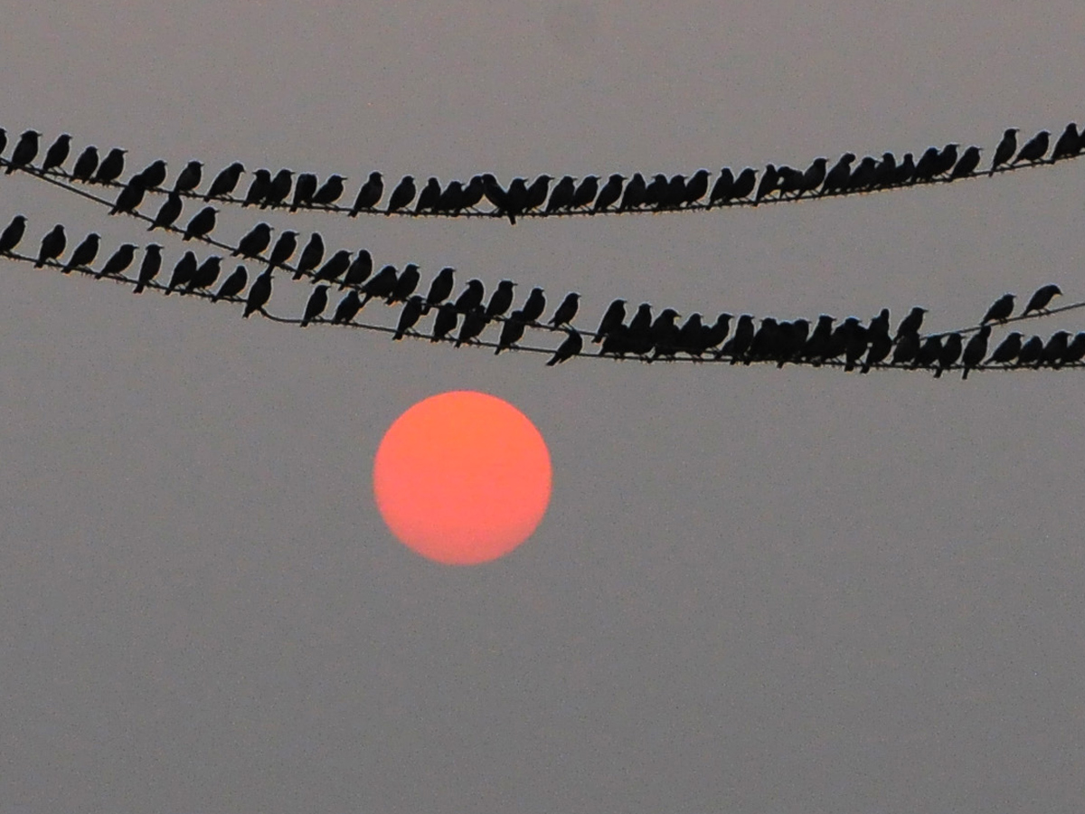 Best Photos of The Week in AP and Telangana Photo Gallery3