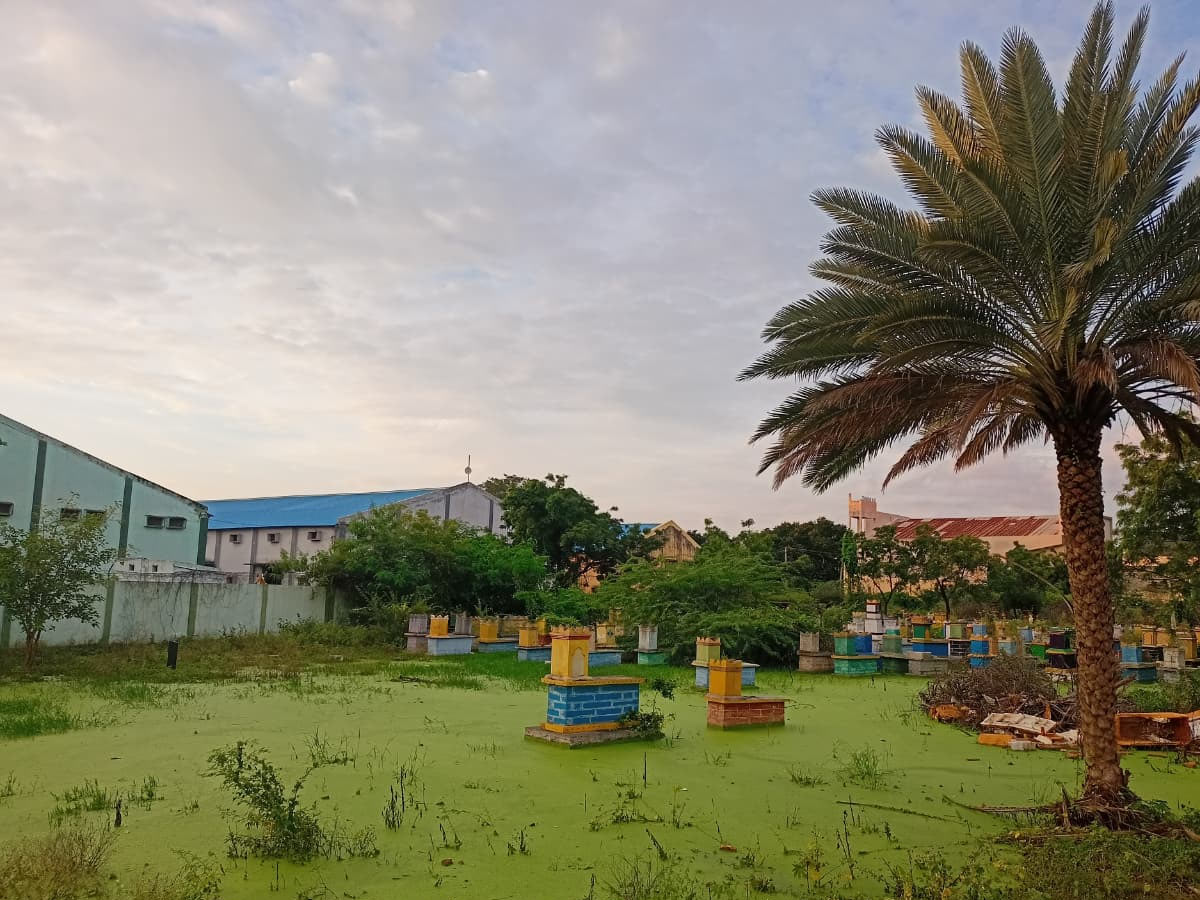 Best Photos of The Week in AP and Telangana Photo Gallery26