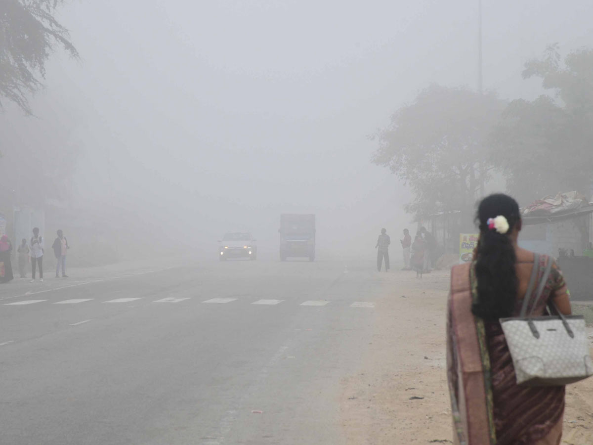 Best Photos of The Week in AP and Telangana Photo Gallery29