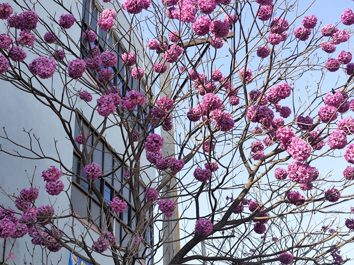 Best Photos of The Week in AP and Telangana Photo Gallery30