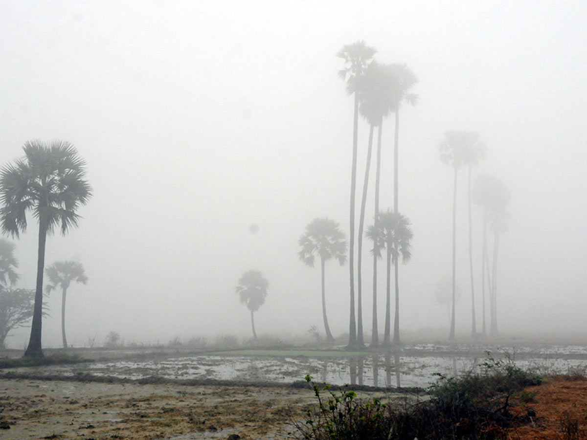 Best Photos of The Week in AP and Telangana Photo Gallery31