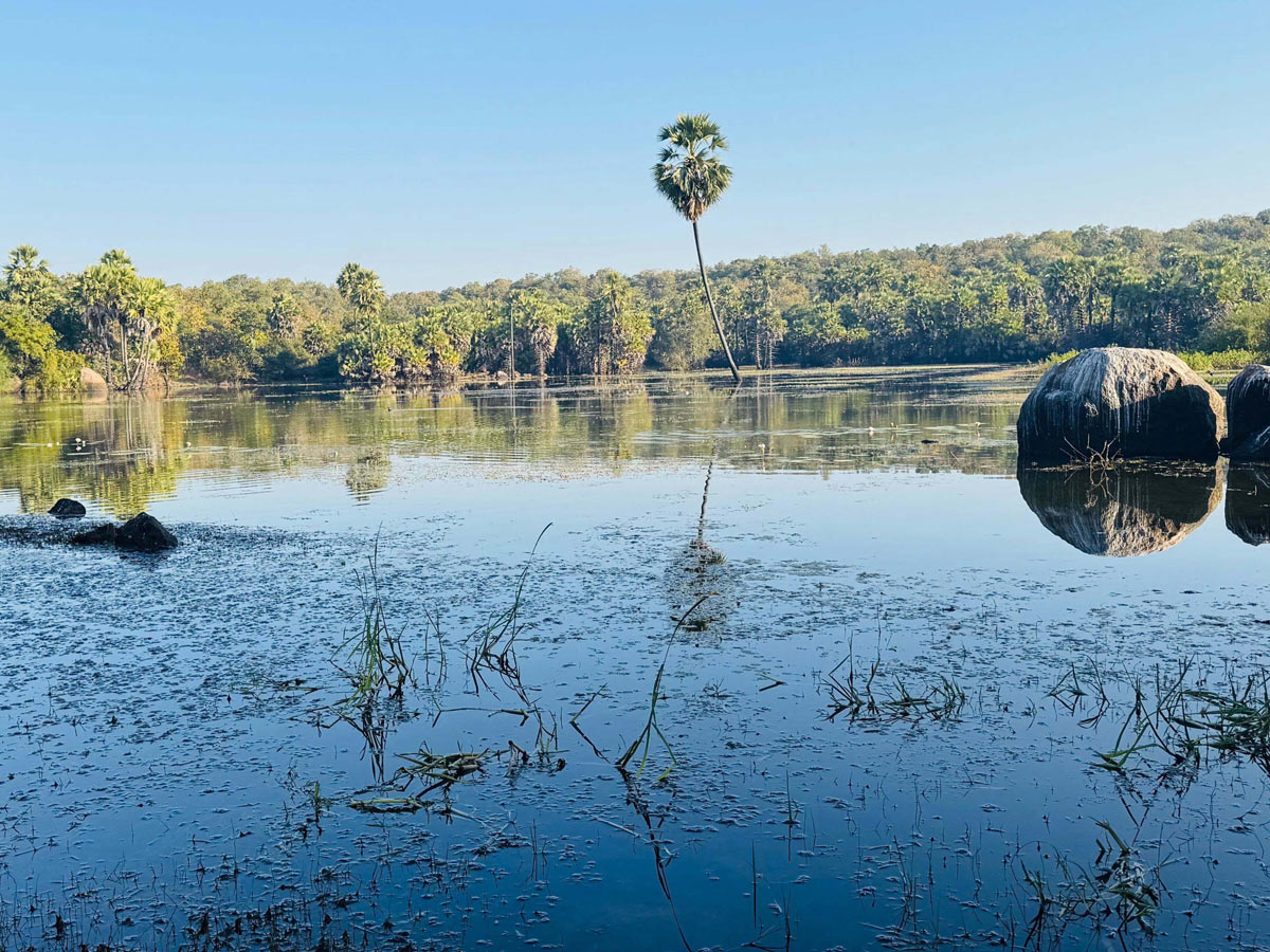 Best Photos of The Week in AP and Telangana Photo Gallery37