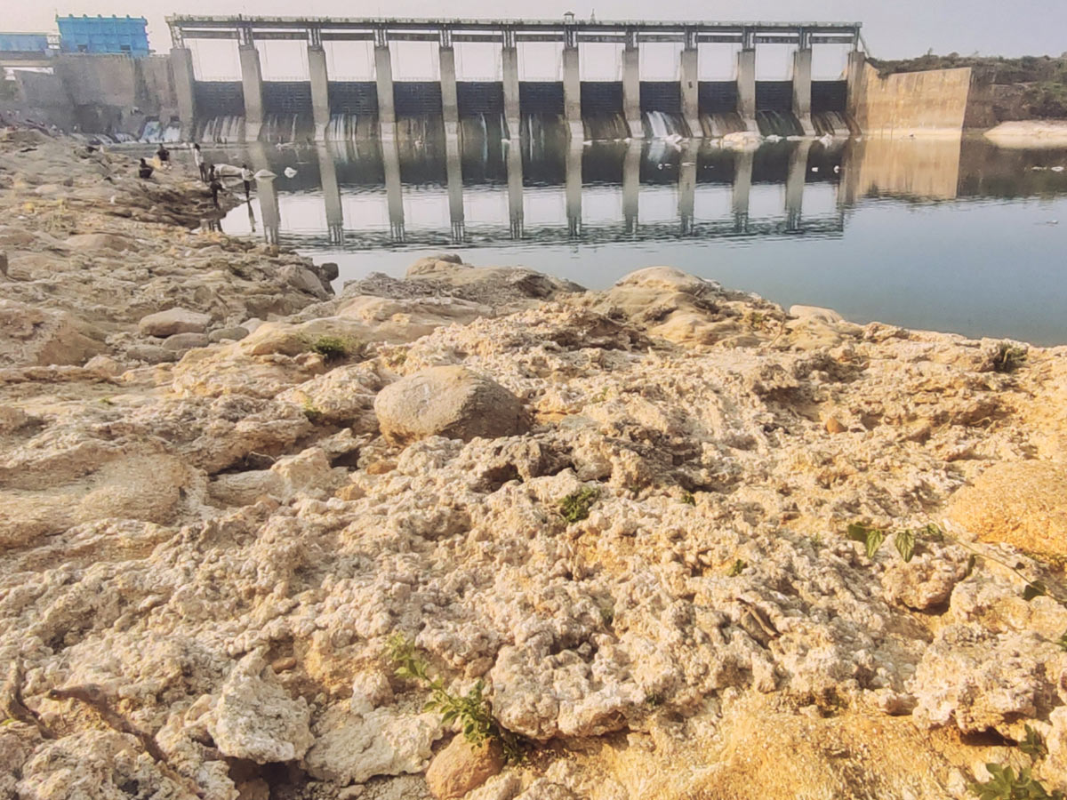 Best Photos of The Week in AP and Telangana Photo Gallery41