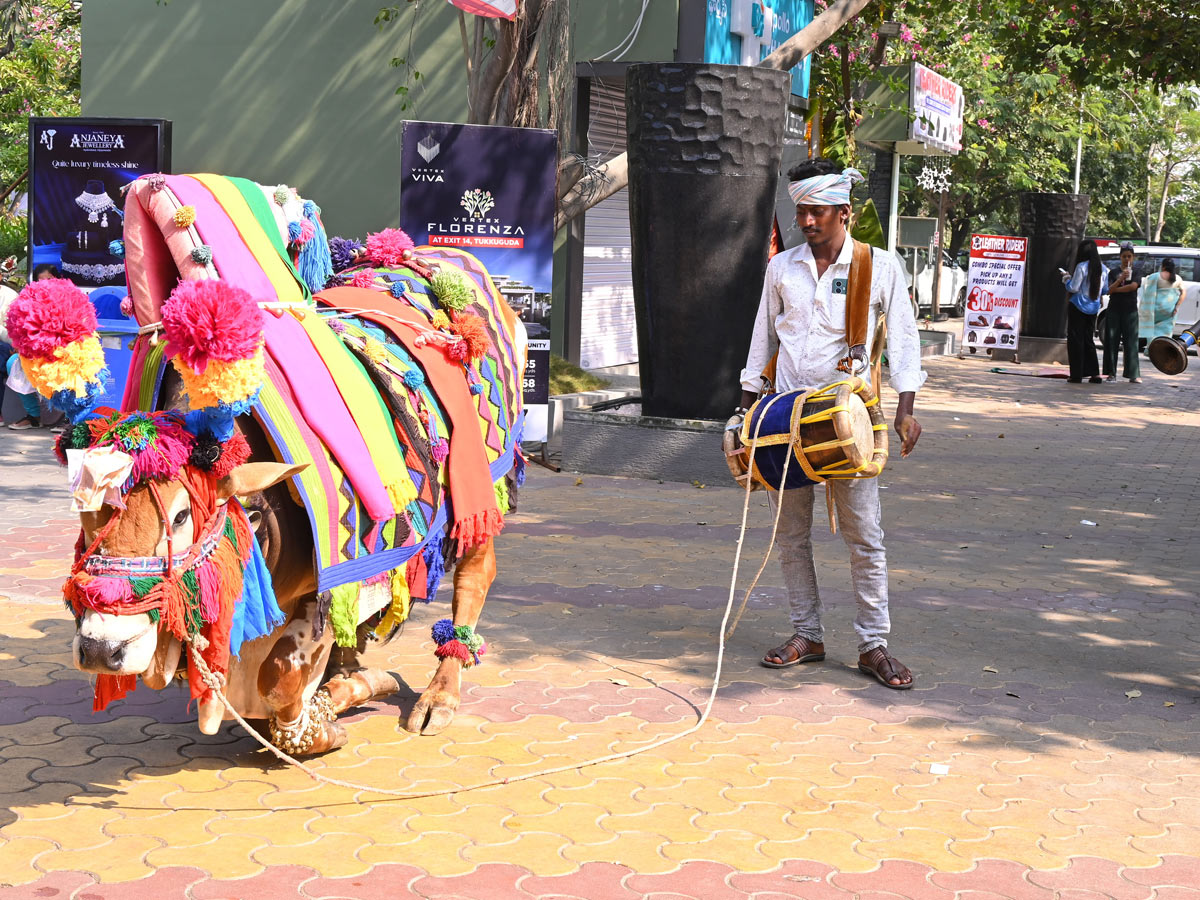 Best Photos of The Week in AP and Telangana Photo Gallery45